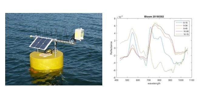 HydraSpectra instrument and spectra returned