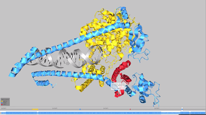A 3D visualisation of sequences of the COVID-19 spike protein viewed in the Aquaria platform.