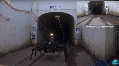 Bruce, a medium-sized hexapod, about to enter a tunnel