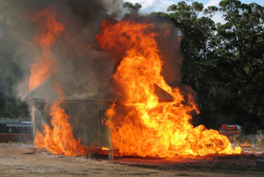 bushfire resistant paint