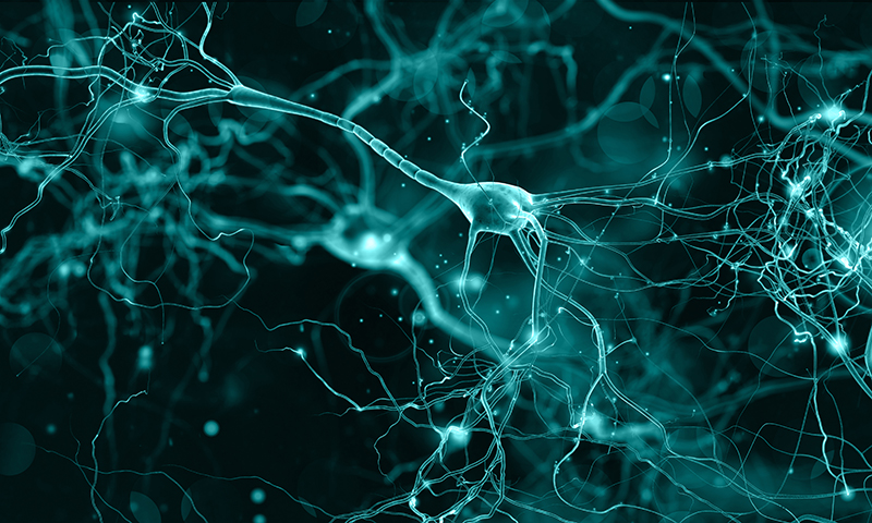 /-/media/Do-Business/Images/Futures/futures-neuron-cells-Associated.jpg?mw=1000&hash=3681C19DE4361BAE9708C35CB457DDC7