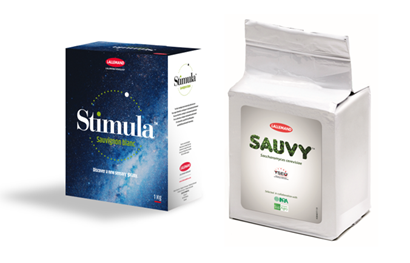 Two square cartons