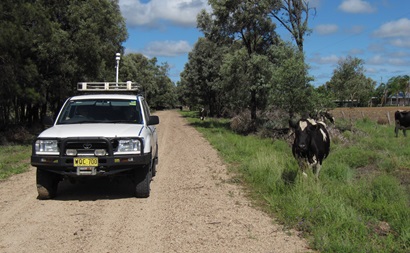 Ute fitted with methane measurement equipment driving along a dirt road flanked by grazing cows.