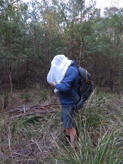 Doug Hilton in the field with a net catching moths