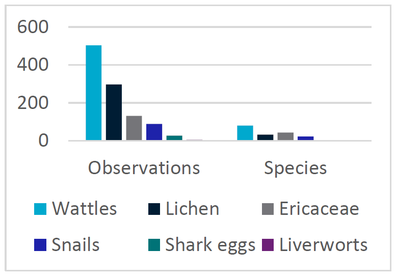 Table showing observations and species. 