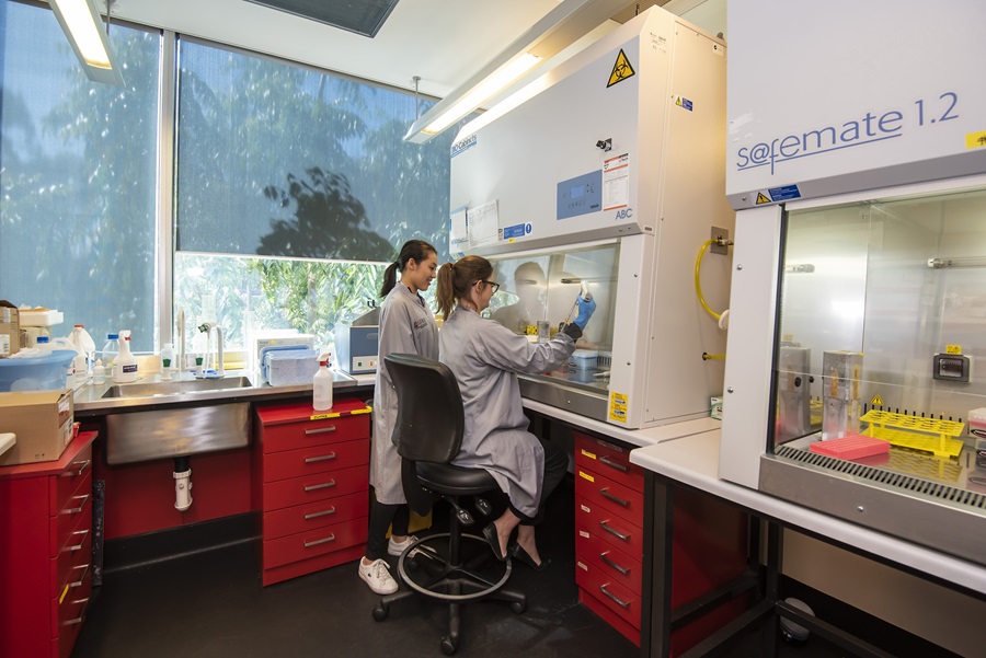 Two people working in a lab at a fume hood. 