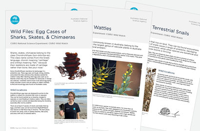 Collage of three information pages shown overlapping. Screen shot of files supplied as resources for the CSIRO National Science Experiment: CSIRO Wild Watch Wild.