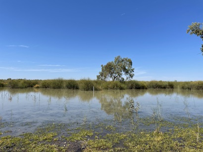 Photo of Lignum Clear Lake