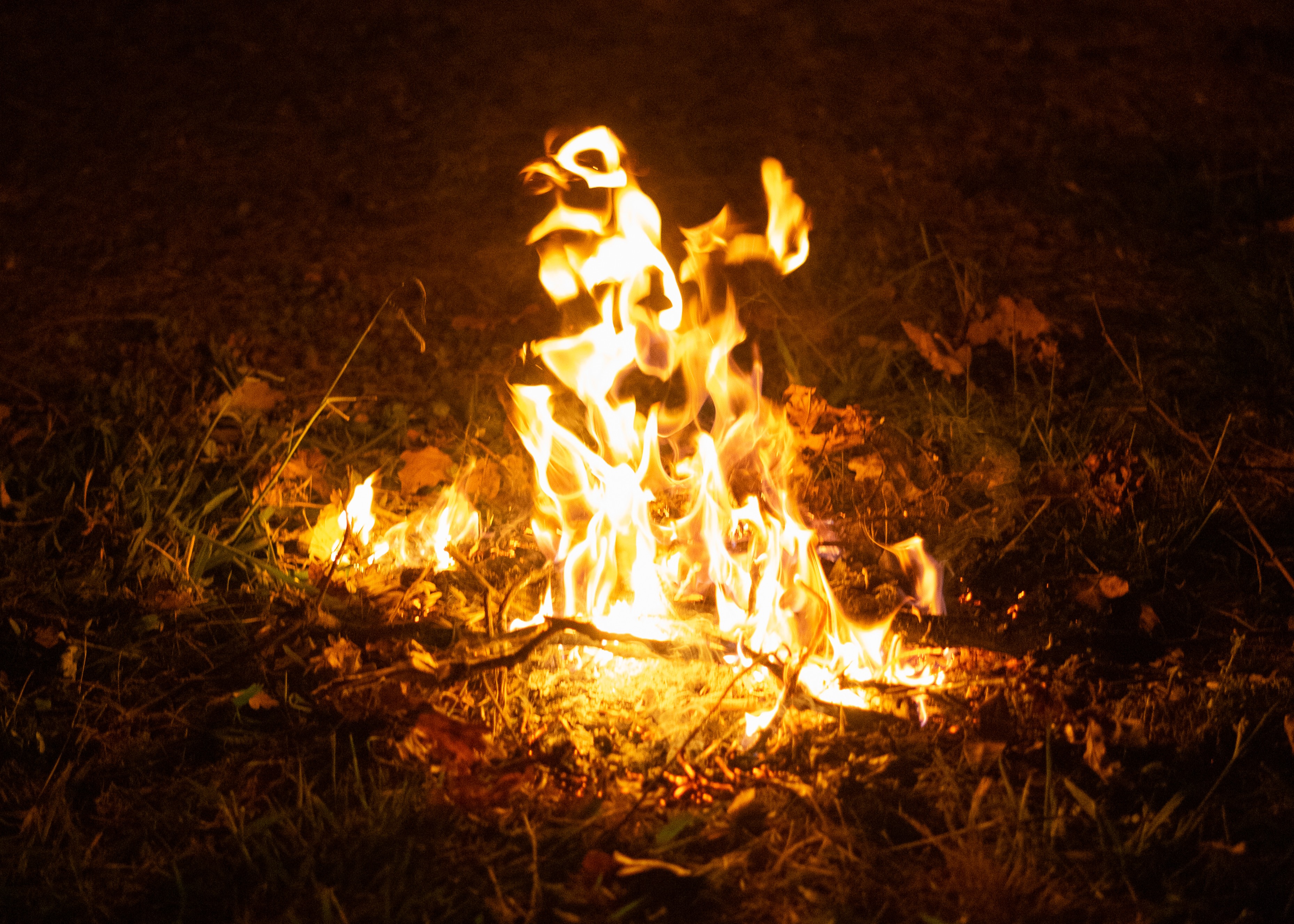 A small campfire burns brightly in the middle the Australian bush on a dark night.