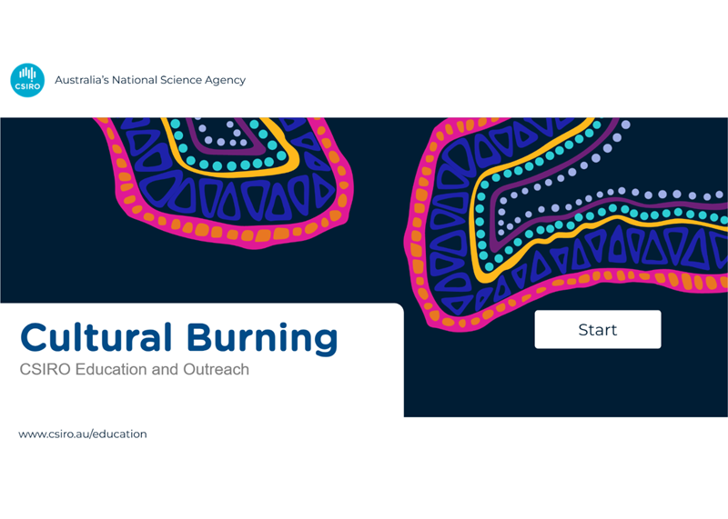 Thumbnail image of the Cultural Burning eLearn module highlighting a portion of the eLearn with text and an image.