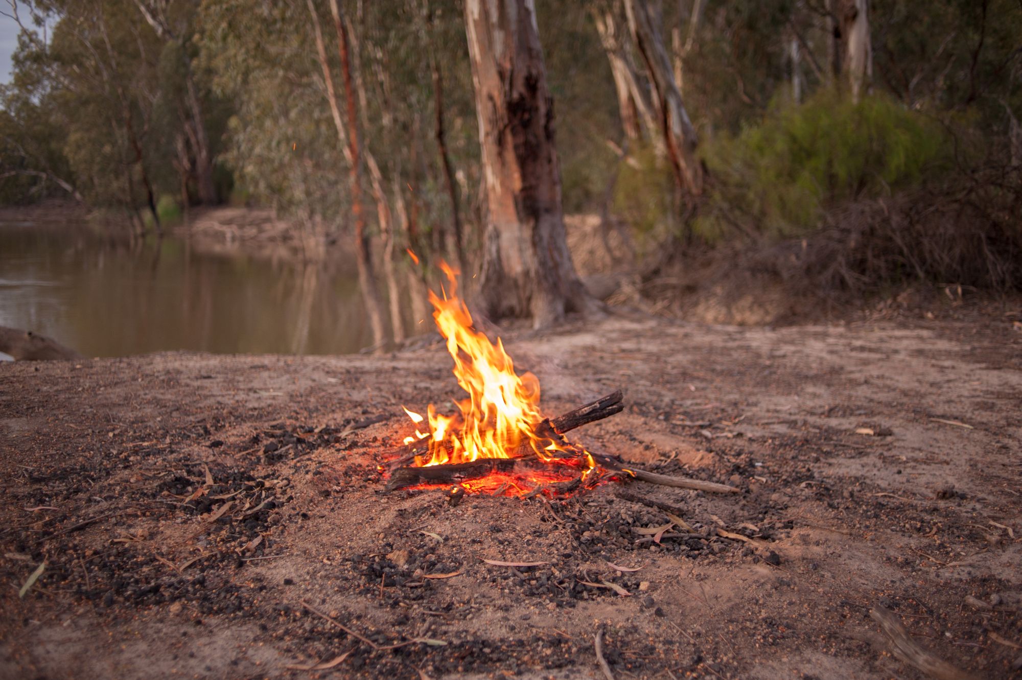 A small campfire beside the Murray Lake in the Australian bush.