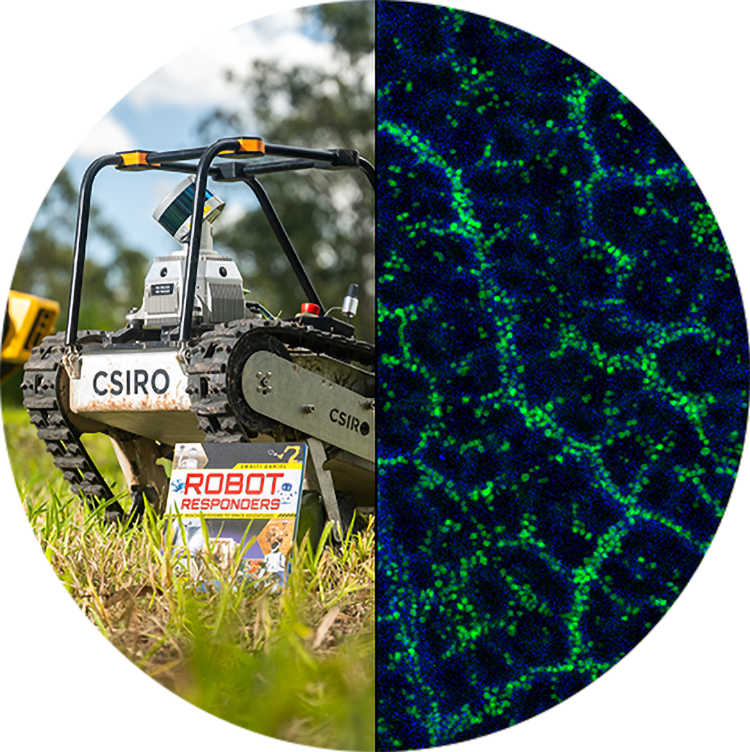 Photograph and microscopic fluorescence image combined in a circular split format, showing a CSIRO-branded robotic vehicle on grass on the left and a blue and green cellular or microbial pattern on the right.
