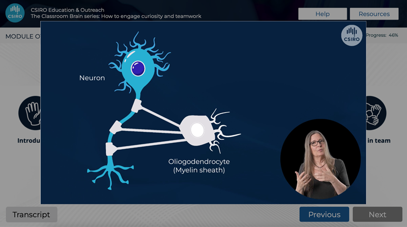 Image of Dr Dana Bradford presenting a diagram of a Neuron in the Classroom brain series, Part 1