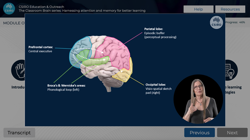 Image of Dr Dana Bradford presenting a diagram of the brain in the Classroom brain series, Part 2