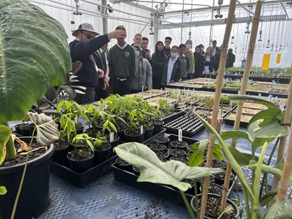 Students attending a site visit at Penrith Nursery
