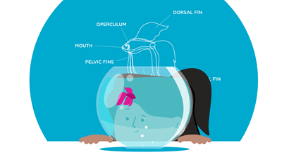 A cartoon of a student looking at a tropical fish in a fishbowl