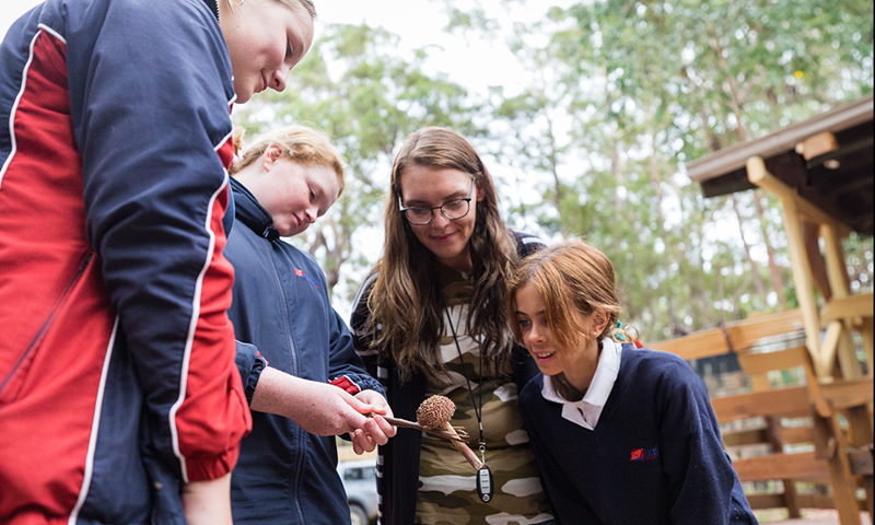 Students and a teacher investigate a fungi specimen