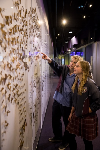 Students at the butterfly display at CSIRO Discovery Centre