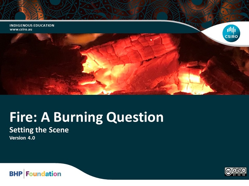 Year 8 – Fire: A Burning Question