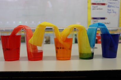 Activity mixing colours using paper towel and coloured water