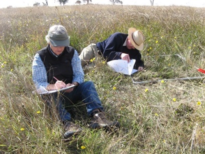 Research work in the field