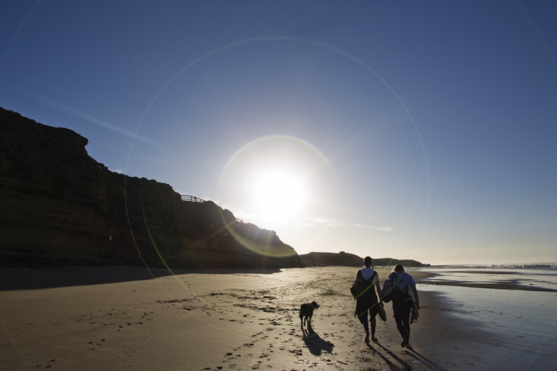 Two people and a dog walking along a beach with cliffs above them.