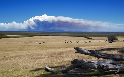 Landscape with bushfire smoke in the distance