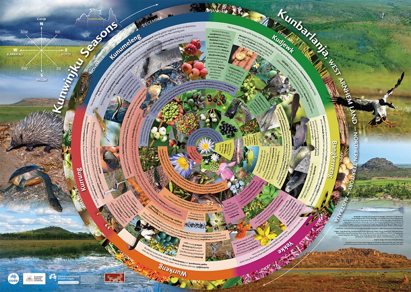 A circular calendar of Kunwinjku seasons showing images of plants, animals and landscapes of western Arnhem Land and language names