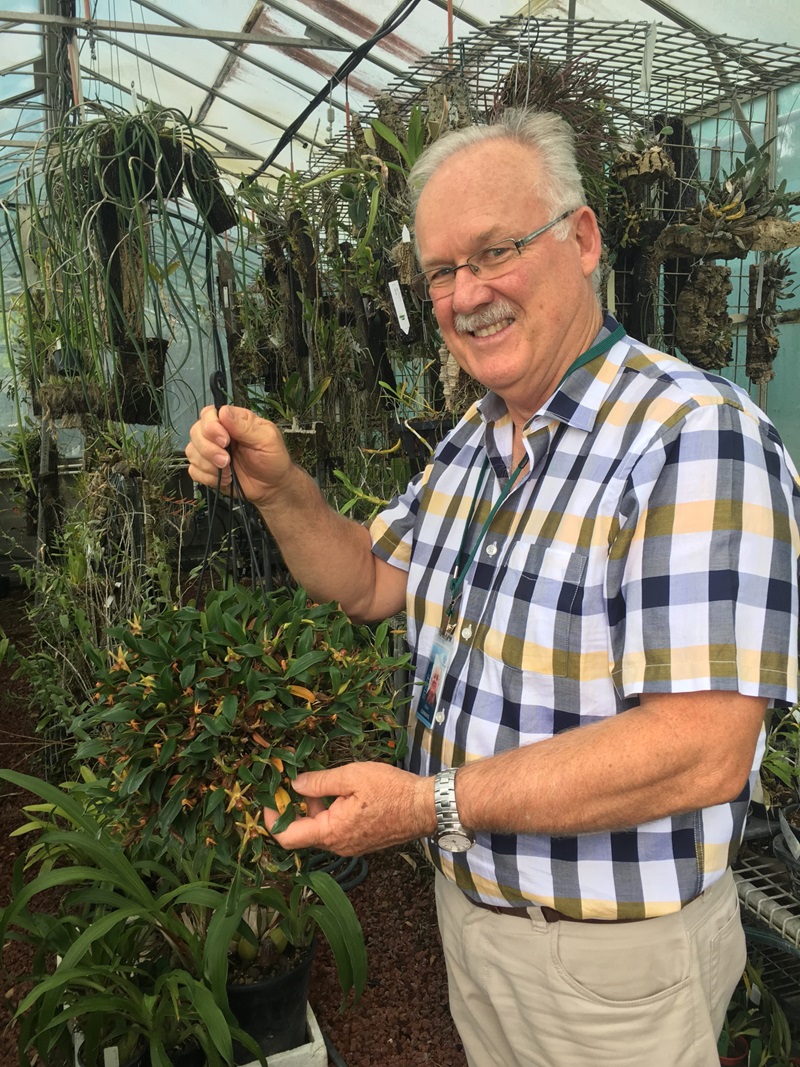 Portrait of Mark Clements in a glasshouse holding up a plant.