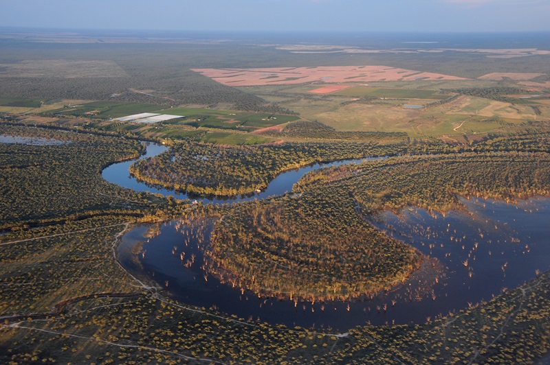 Aerial view of River Murray, wetlands and floodplains in the southern Murray-Darling Basin. Image by Tanya Doody