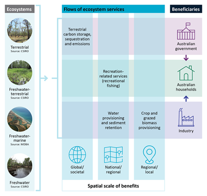 Ecosystems, flows of ecosystem services, and beneficiaries assessed in this project.