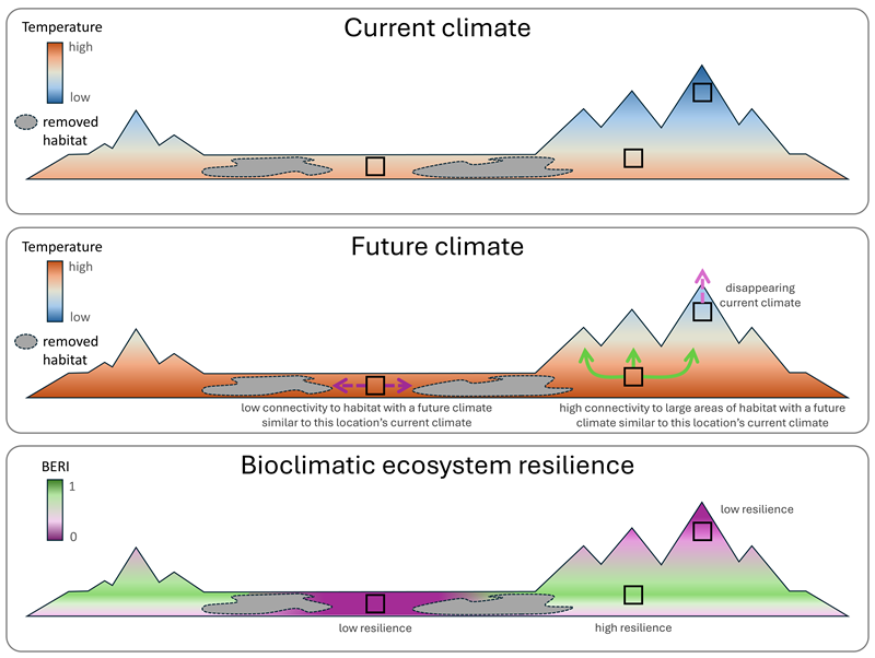 The image shows three graphs of the same landscape - one with temperatures under the current climate, one with temperatures under the projected future climate, and one showing measures from 0 to 1 of bioclimatic ecosystem resilience across the landscape. 