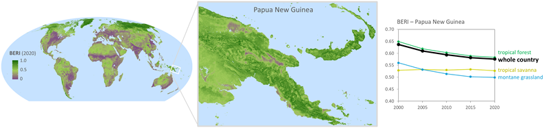 Three graphics side by side show a map of the world with the BERI values indicated between 0 (purple) and 1 (dark green). A snapshot zooms in on Papua New Guinea, where areas along the coast and in the mountains show a lower BERI value than elsewhere. The third graphic shows trends in BERI values across different ecosystems over time, such a s tropical forest and mountain grasslands. 