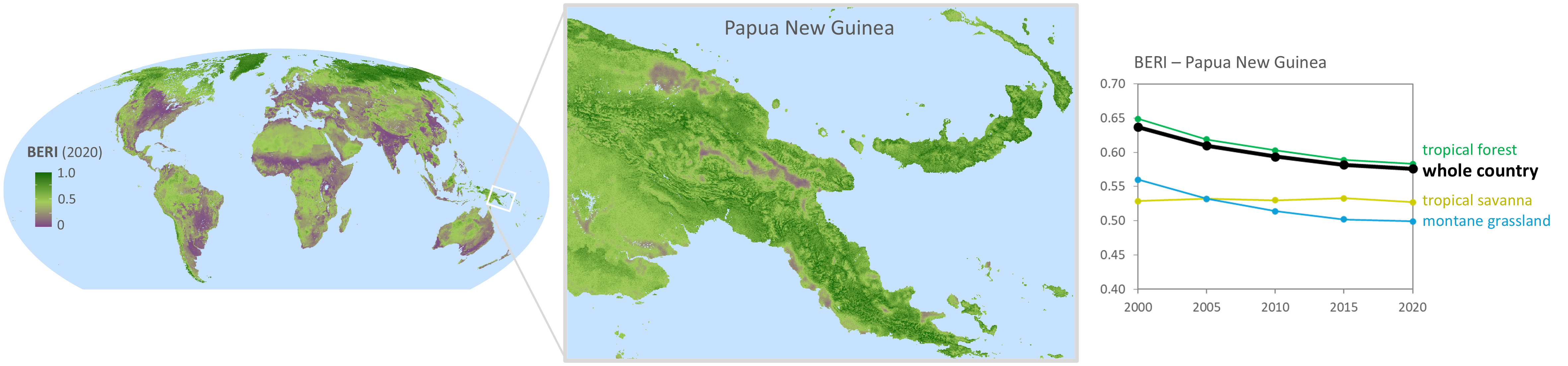 Three graphics side by side show a map of the world with the BERI values indicated between 0 (purple) and 1 (dark green). A snapshot zooms in on Papua New Guinea, where areas along the coast and in the mountains show a lower BERI value than elsewhere. The third graphic shows trends in BERI values across different ecosystems over time, such a s tropical forest and mountain grasslands. 