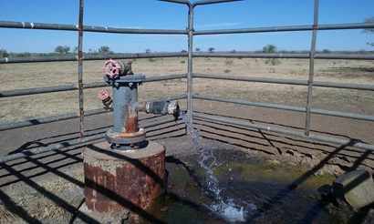 Pictured is an artesian Bore located at Go Go Station, Fitzroy Crossing Western Australia.