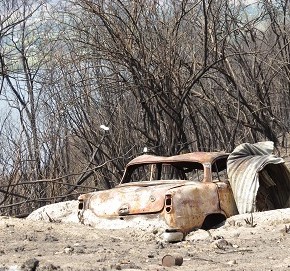 Burnt out car surrounded by burnt bushland following the Kosciuszko fire, 2020.