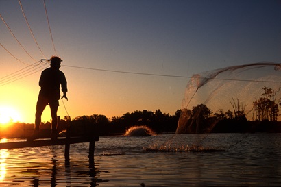 A man casts a net at sunset over aquaculture prawn ponds in Queensland, Australia.