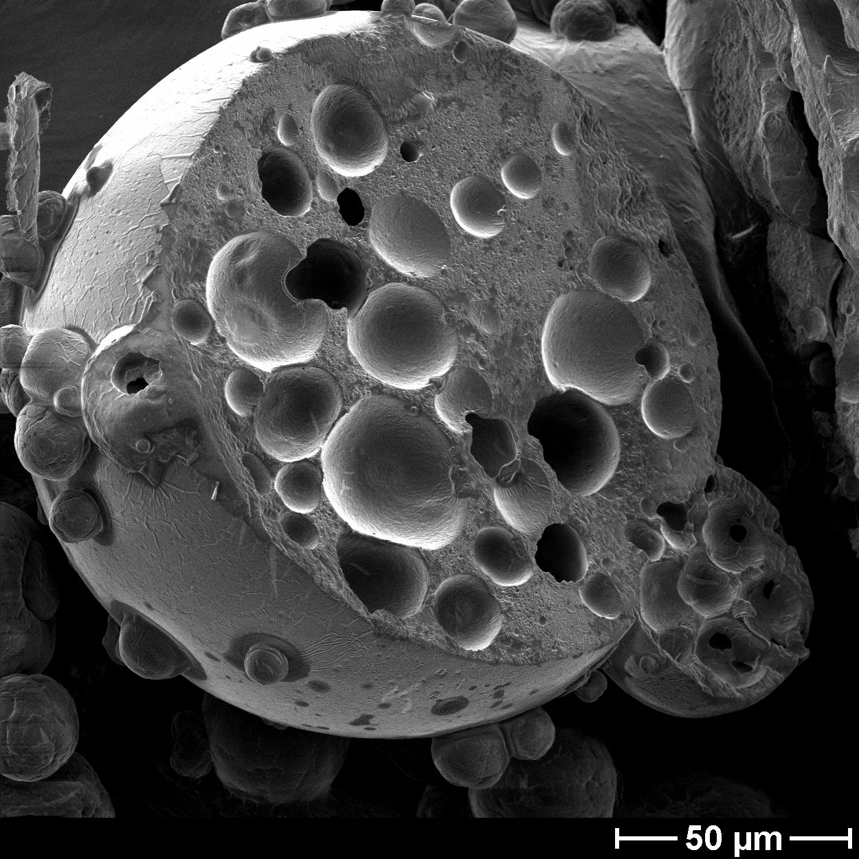 MicroMAX powder particle