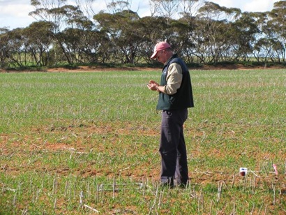 A man in a field logs a mouse sighting using the Mouse Alert app on his mobile phone.