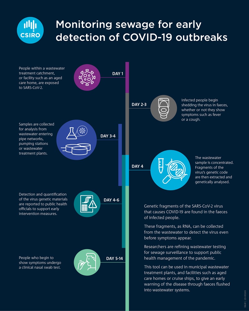 An infographic displays the timeline of the sewage testing process, from day one to day 14.