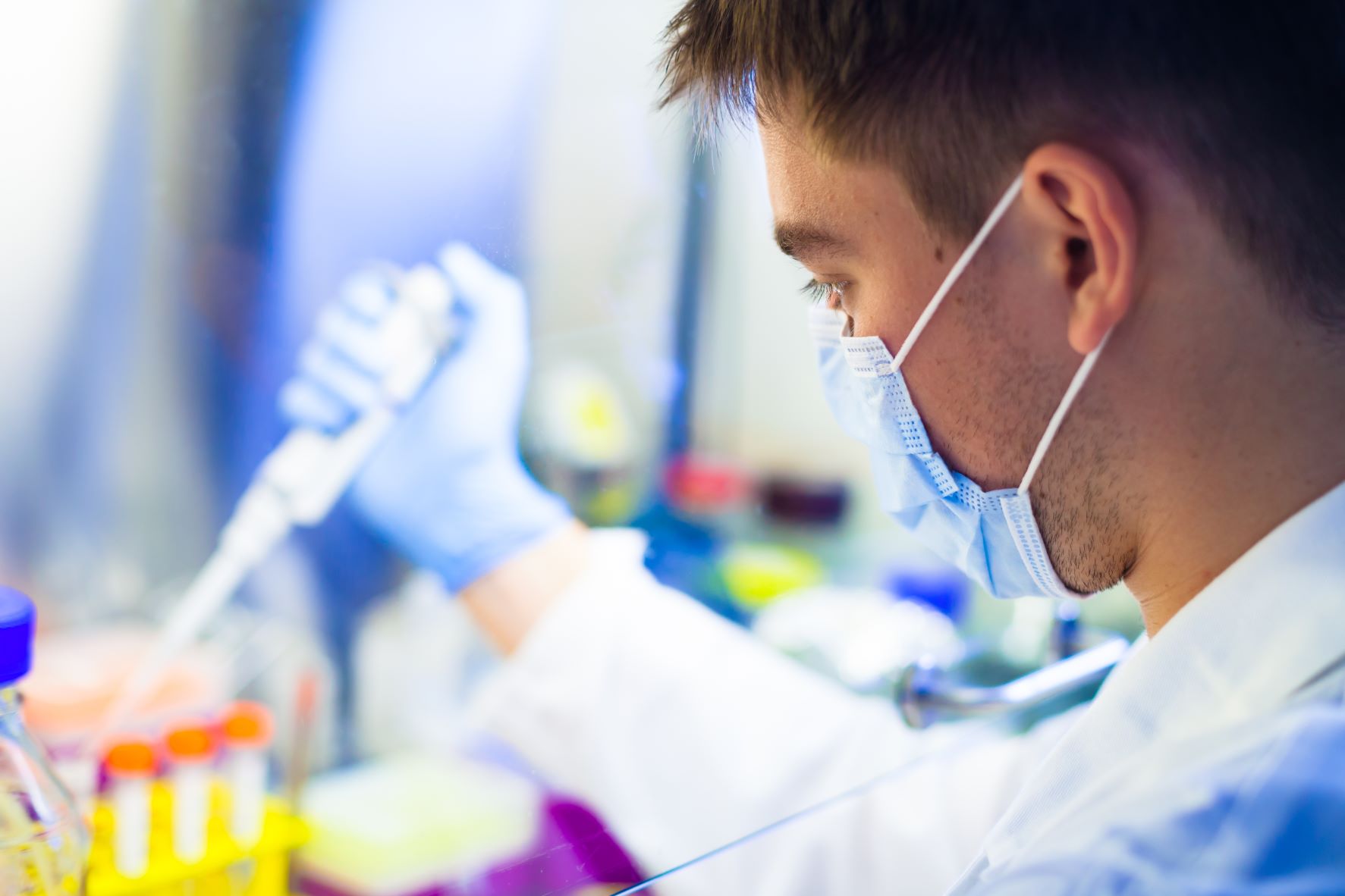 A young male scientist who is wearing a medical face mask is working in a lab with tissue cultures in a laminar flow closet. He is holding a large pipette in his hand which is covered in a blue latex glove