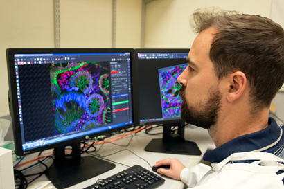 A researcher at a computer using software to analyse biomarkers