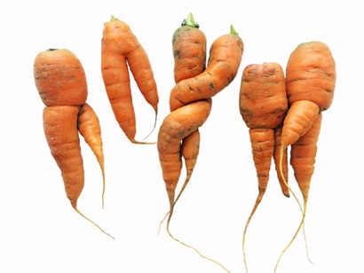 An image of defective carrots that will not reach consumers because they don't meet aesthetic standards set by retailers.