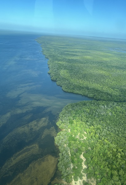 An aerial photo of a tropical coastline