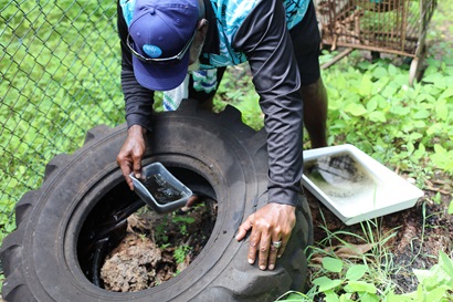 A photo of mosquito survey work underway, showing stagnant water being inspected. 