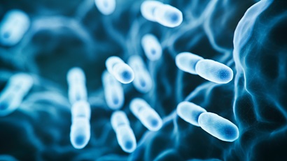 A 3d rendered image of the Lactobacillus Bulgaricus Bacteria. The bacteria is highlighted in blue and white.  