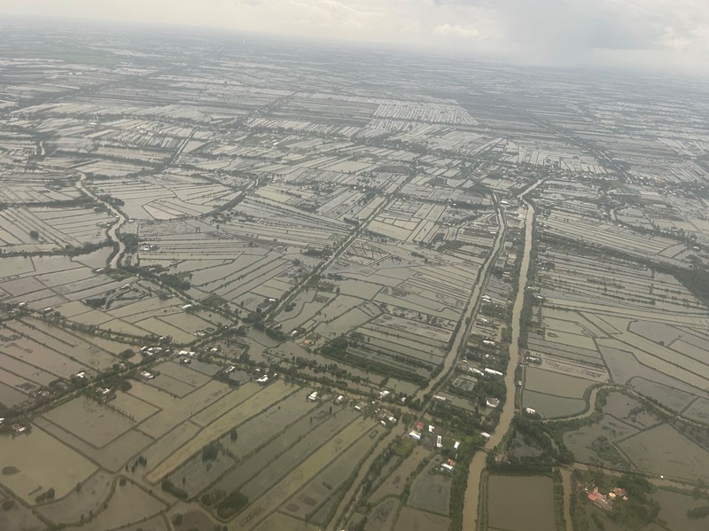 Overhead image of prawn farms in Vietnam.