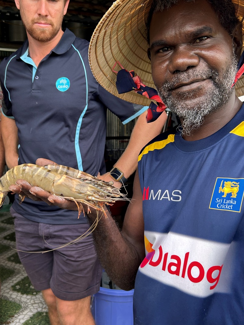 Ron Poantimilui holds up a tiger prawn.