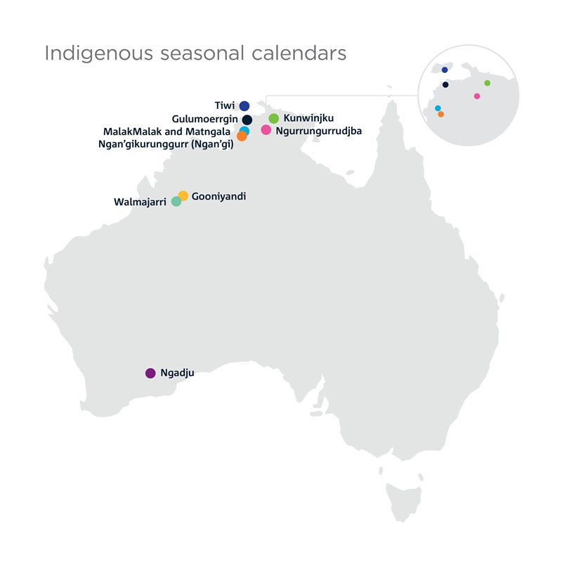 A map of the Australian landmass. Under the title 'Indigenous seasonal calendars' a number of coloured drop pins indicate different language groups and where they are located in Australia. In the north-west of Austalia are two drop-pins: Walmajarri, Gooniyandi. On the north coast of Australia are 6 drop pins: Tiwi, Gulumoerrgin, MalakMalak and Matngala, Nagan'gikurunggurr (Ngan'gi), Kunwinjku, Ngurrungurrudjba. In the south-west of Australia is one drop-pin: Ngadju. An inset box is included that describes the northern pin cluster in more spatial detail.