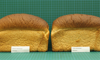 High Amylose Wheat